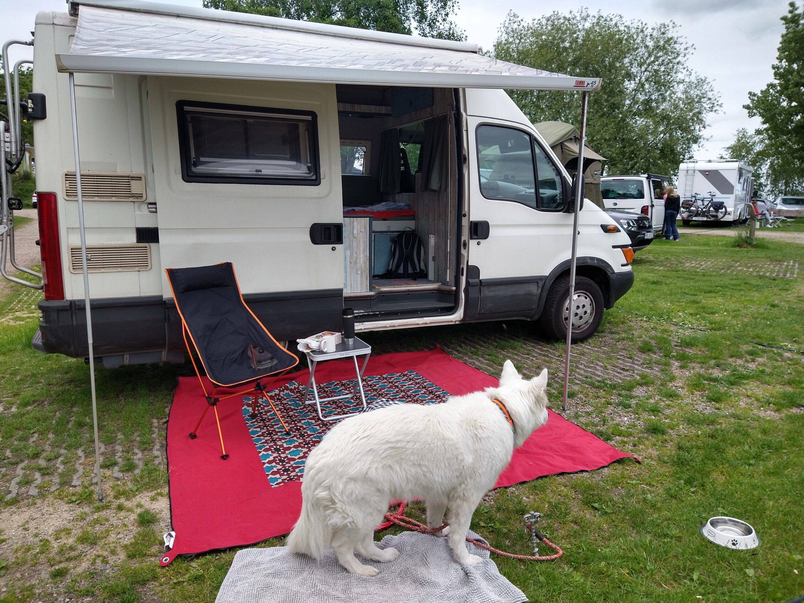 Read more about the article Mein Camper Ivy…