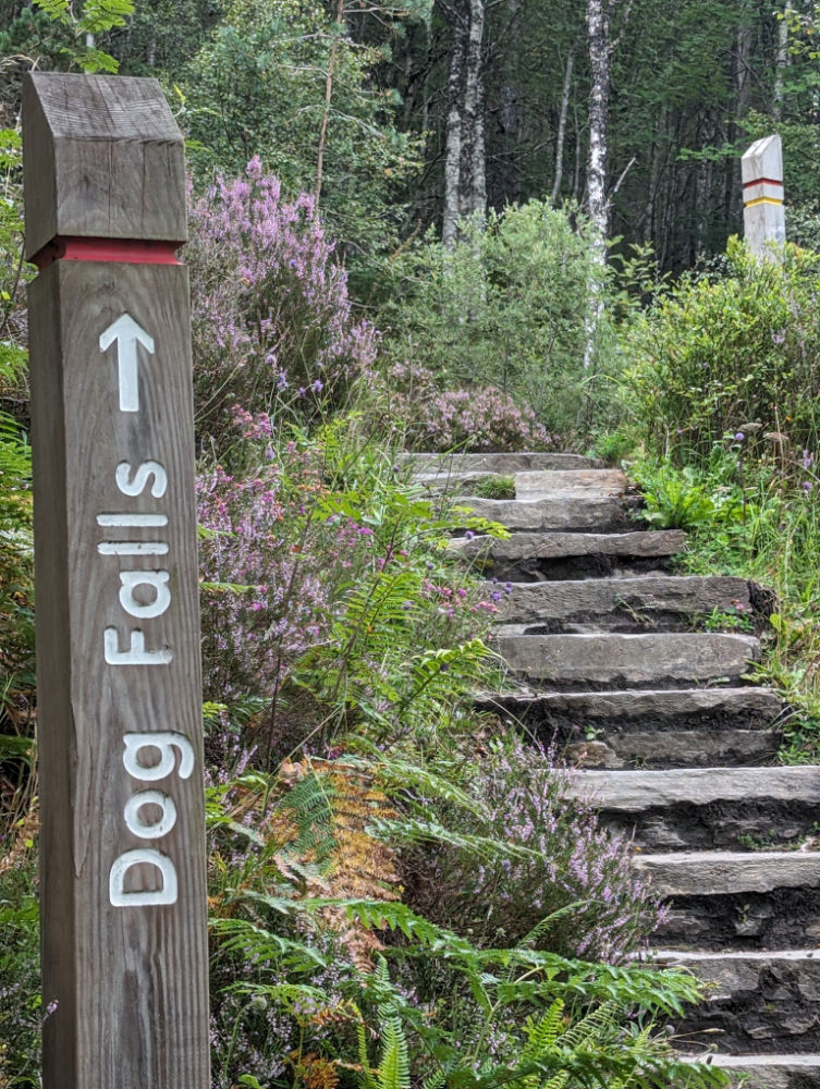 Read more about the article Glen Affric…