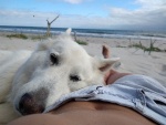 Chillen am Strand.jpg
