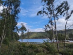 PXL_20230813_134636784.jpg