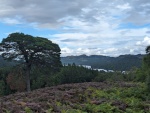 PXL_20230813_150016780.jpg