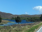 PXL_20230811_120354665.jpg