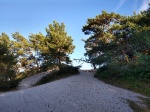 Sandduene Dueodde.jpg