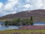 PXL_20230811_120428643.jpg