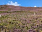 PXL_20230811_120804406.jpg