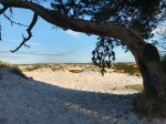 Sandduene Dueodde 2.jpg