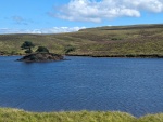 PXL_20230810_120949732.jpg